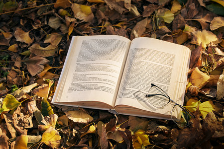 青海民族大學非全日制研究生面試技巧