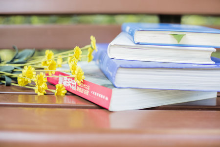 馬來西亞林肯大學學院入學情況