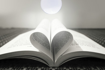 法學理論在職研究報考人群