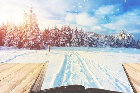 哲學國際博士 哲學國際博士