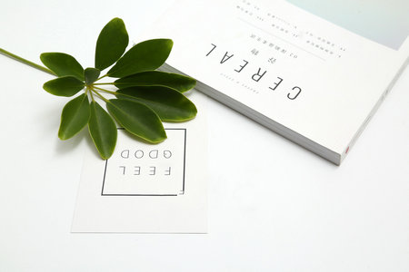 歐洲高校聯盟國際博士 歐洲高校聯盟國際博士