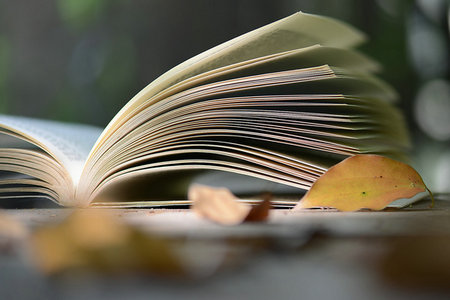 吉林大學(xué)專業(yè)碩士報(bào)考注意事項(xiàng)