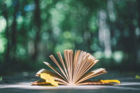 山東專業碩士報考選擇