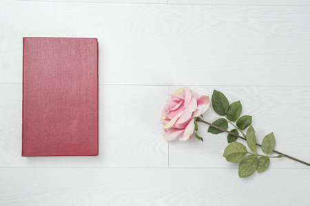 報考世界經濟同等學力什么時候可以查詢申碩考試成績? 報考世界經濟同等學力什么時候可以查詢申碩考試成績?