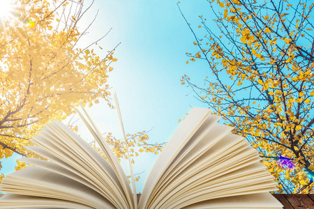 學前教育學同等學力報考條件 學前教育學同等學力報考條件