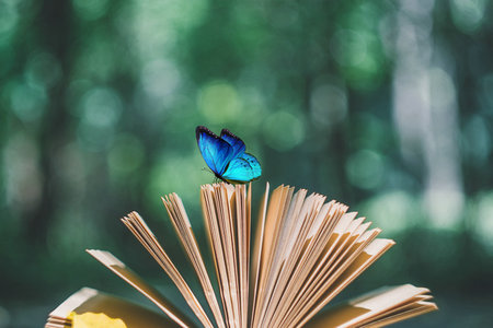 國(guó)民經(jīng)濟(jì)學(xué)在職研究生開(kāi)課地區(qū) 國(guó)民經(jīng)濟(jì)學(xué)在職研究生開(kāi)課地區(qū)