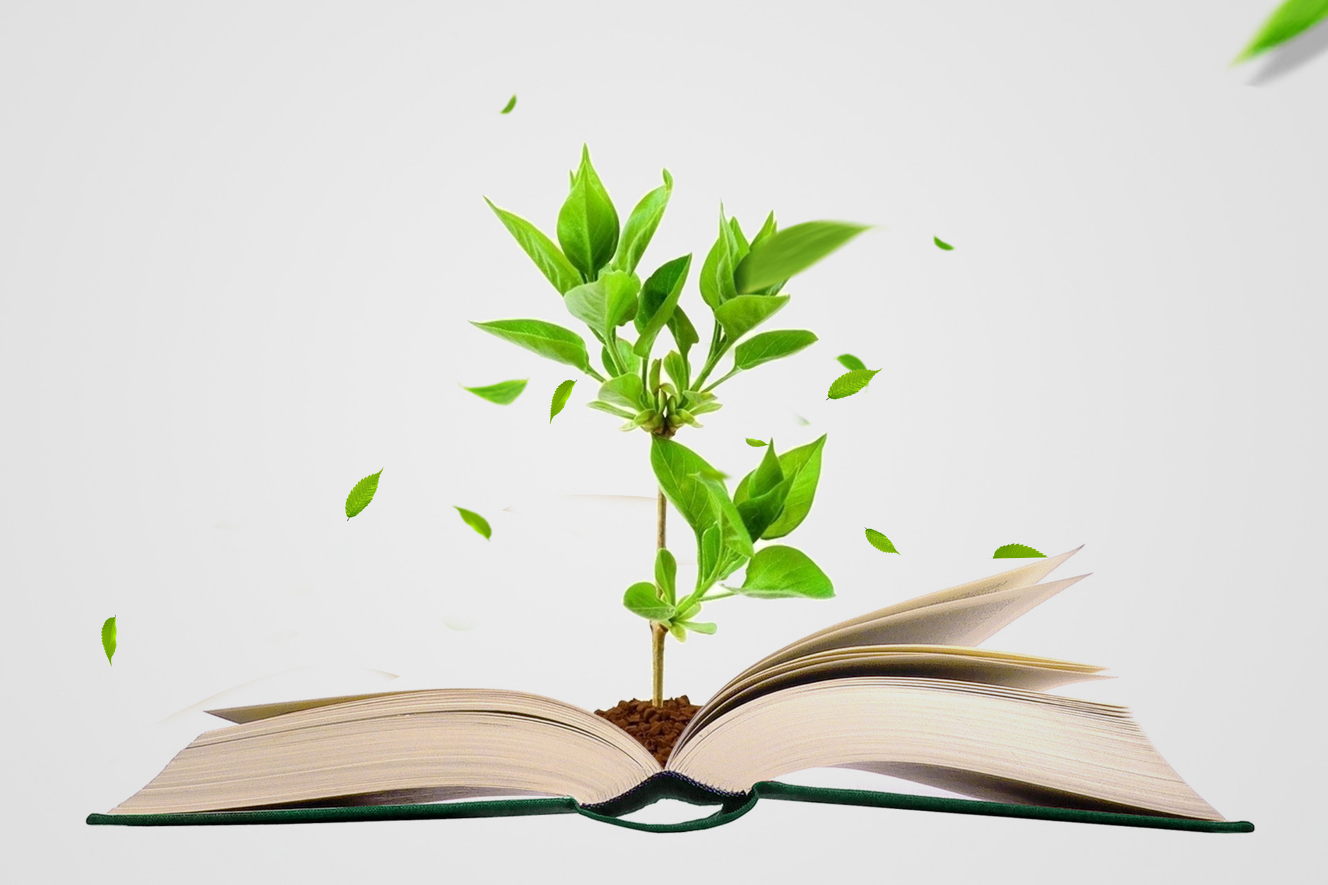 西南財經大學專業碩士