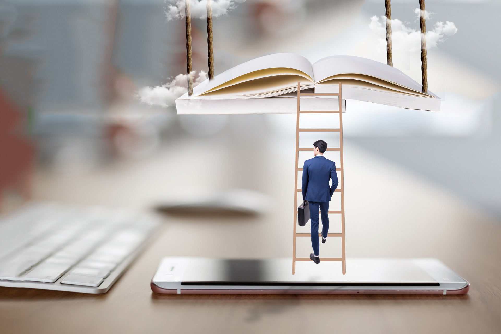 荷蘭商學(xué)院在職研究生