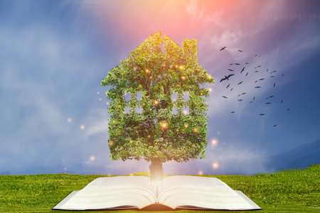 政治學同等學力 政治學同等學力