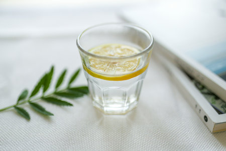 復(fù)旦大學(xué)MPA 復(fù)旦大學(xué)MPA