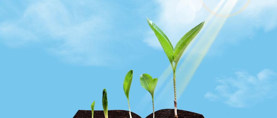 南京農業大學MPAcc學制學費