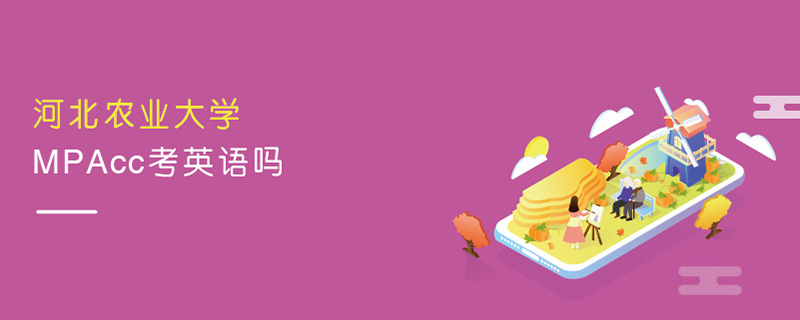 河北農(nóng)業(yè)大學(xué)MPAcc考英語(yǔ)嗎