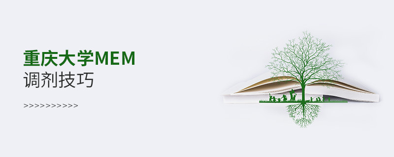 重慶大學MEM調劑有哪些技巧？