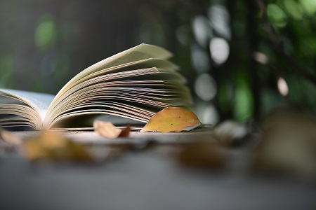 上海對外經(jīng)貿(mào)大學(xué)非全日制研究生MBA專業(yè)調(diào)劑情況介紹