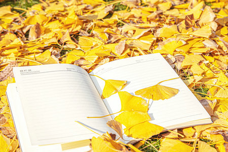 在職博士復(fù)試時間