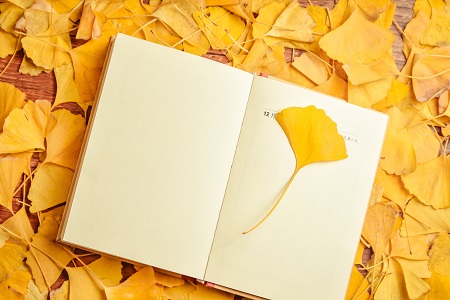 上海財經(jīng)大學(xué)經(jīng)濟法學(xué)在職研究生值得就讀嗎? 上海財經(jīng)大學(xué)經(jīng)濟法學(xué)在職研究生值得就讀嗎?