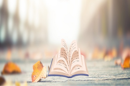 上海大學MPAcc專業(yè)有哪些優(yōu)勢？