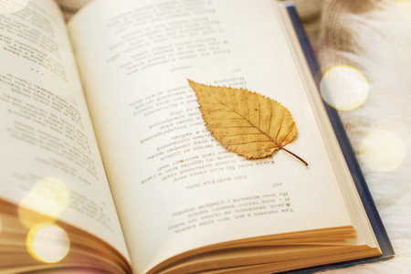 東北財(cái)經(jīng)大學(xué)在職研究生可以先學(xué)后考嗎