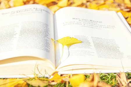 免聯考MBA國家承認