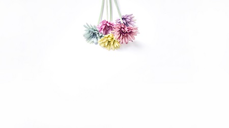 西南大學MBA報考方式