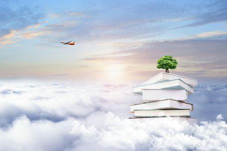 法國ILCI高等商學院國際碩士招生流程