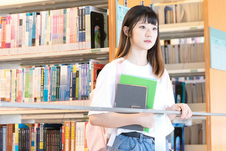 比較文學與世界文學在職研究生報考人群