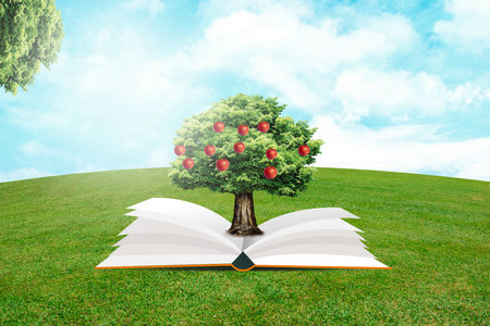 寧夏醫科大學非全日制研究生畢業獲得什么證書