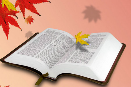 北京國家會計學院MPAcc證書