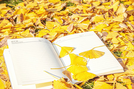 研修班和在職研究生區(qū)別