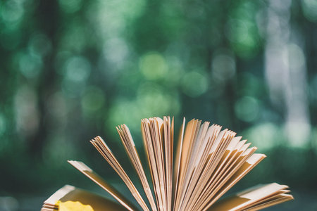 中國礦業大學非全日制研究生報名及考試時間 中國礦業大學非全日制研究生報名及考試時間