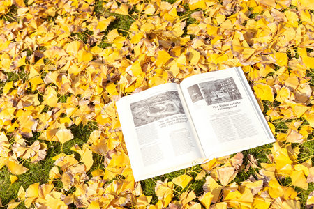 在職碩士專業怎么選擇