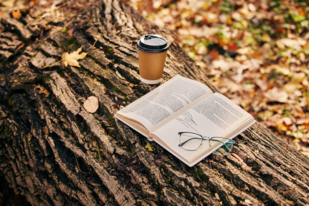 mfa藝術碩士含金量 mfa藝術碩士含金量