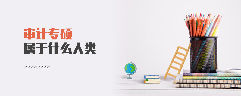 審計專碩屬于什么大類