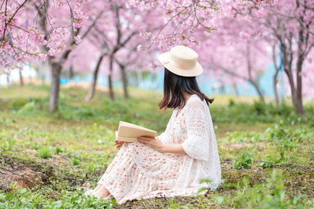 英國倫敦城市大學國際博士怎么上課 英國倫敦城市大學國際博士怎么上課