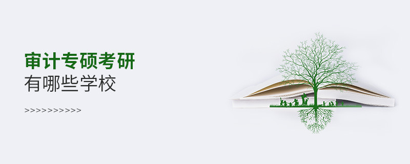 審計專碩考研有哪些學校