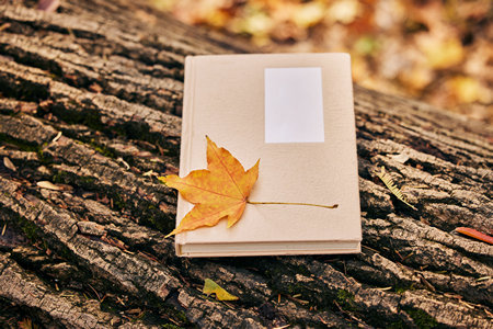 病理學與病理生理學在職研究生就業方向與前景 病理學與病理生理學在職研究生就業方向與前景