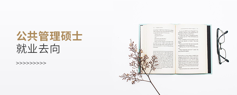 公共管理碩士就業(yè)去向