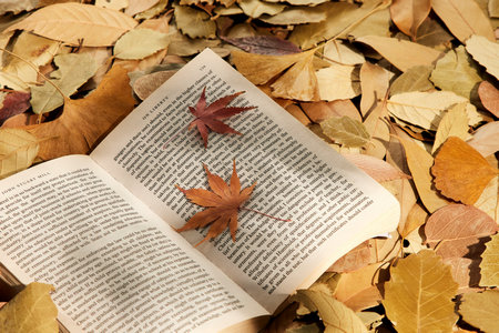 美國布魯克斯大學國際碩士報考條件