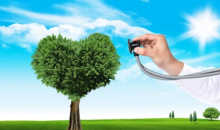 心理學在職研究生就業(yè)方向與前景! 心理學在職研究生就業(yè)方向與前景!