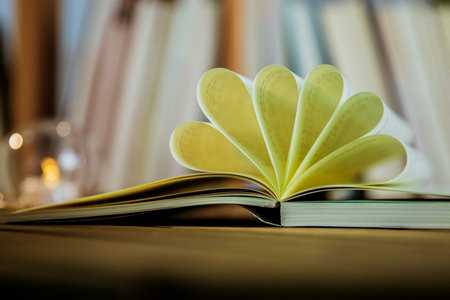 報考荷蘭商學院國際碩士需要滿足什么條件？