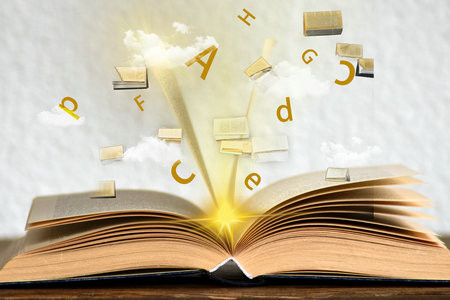 西班牙武康大學國際博士報名入口2025年