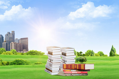 馬來西亞萊佛士大學(xué)國際博士報(bào)名入口2025年