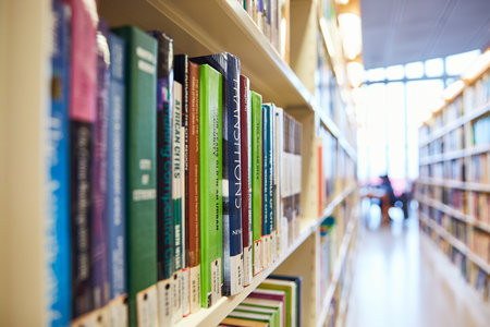 新疆師范大學(xué)MPA報名入口2025年