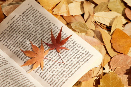 北京科技大學MPA報名入口 北京科技大學MPA報名入口