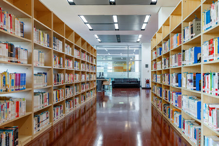 美國北阿拉巴馬大學(xué)國際博士報(bào)名入口2025年