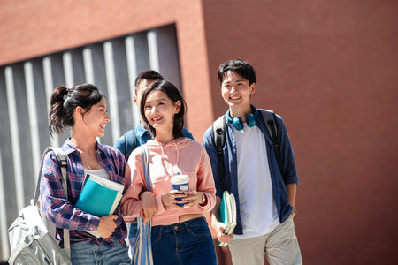 沈陽農業大學MPAcc報名入口2025年