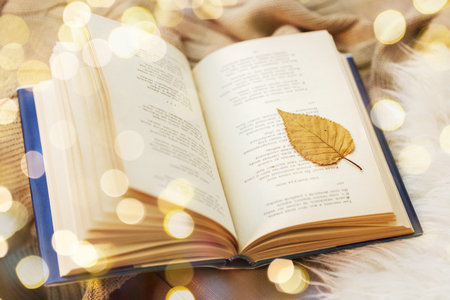 西班牙赫羅納大學國際碩士報名入口 西班牙赫羅納大學國際碩士報名入口