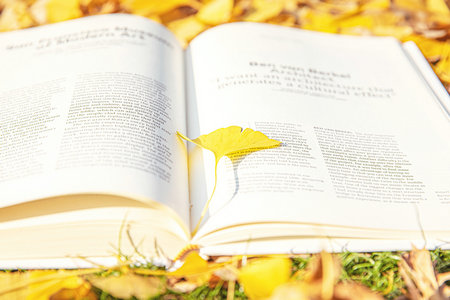 重慶理工大學(xué)非全日制研究生報名入口 重慶理工大學(xué)非全日制研究生報名入口