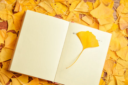 江蘇大學MPAcc報名入口 江蘇大學MPAcc報名入口