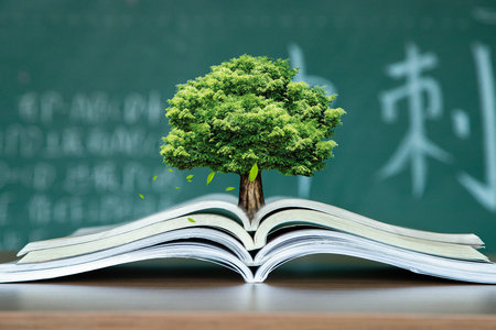 西班牙加泰羅尼亞理工大學(xué)國際博士報(bào)名入口 西班牙加泰羅尼亞理工大學(xué)國際博士報(bào)名入口